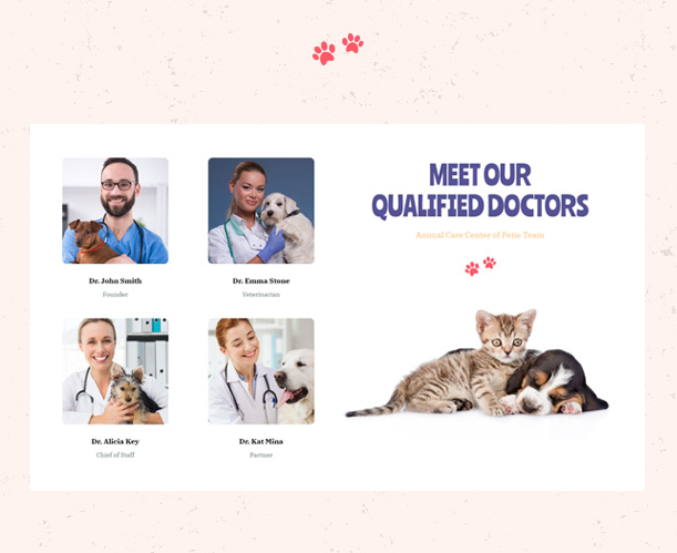 Professional Dotors Showcase in Petie Best Pet Care Center WordPress theme