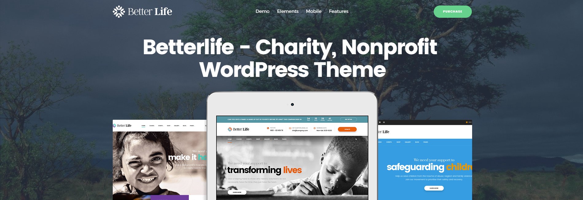 BetterLife – WordPress Theme For Churches And Charity