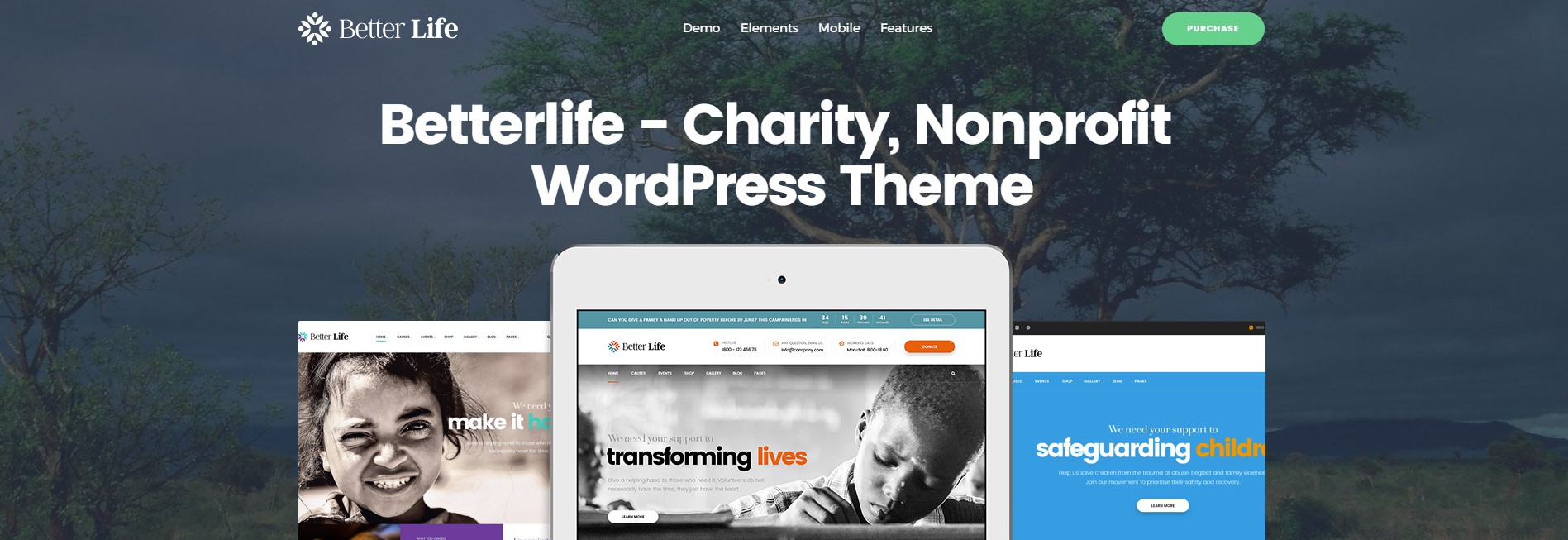 Powerful WordPress Theme For Churches & Charity