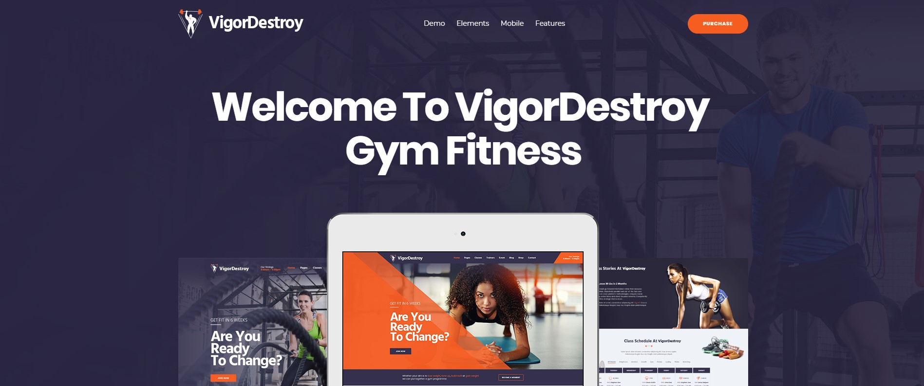 VigorDestroy Gym & Fitness Center WordPress Theme