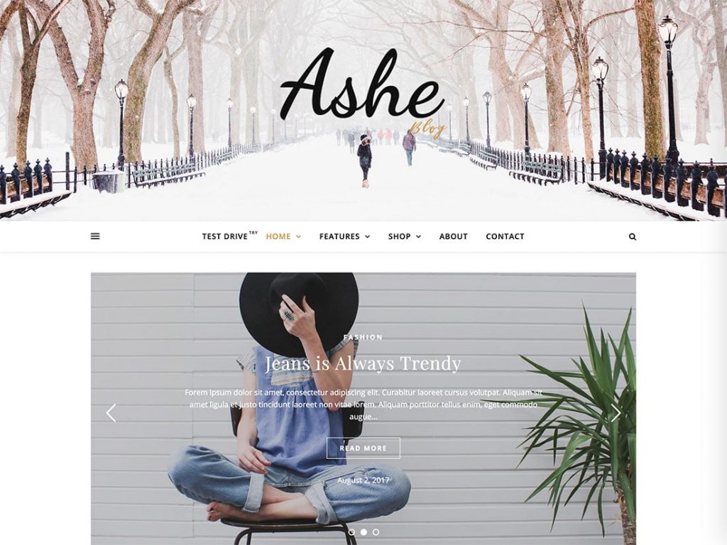 Ashe Best Free WordPress Themes 2020
