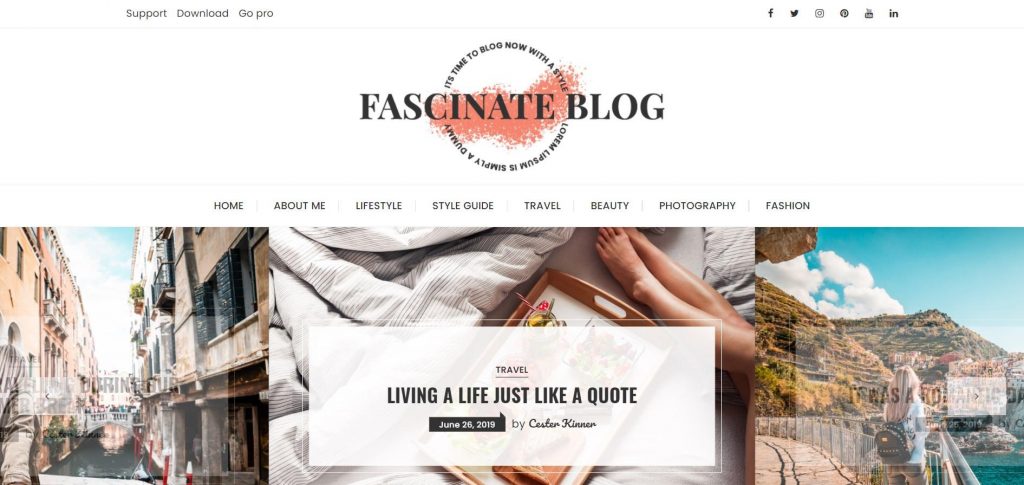 Fascinate Pro Best WordPress Themes For Writers