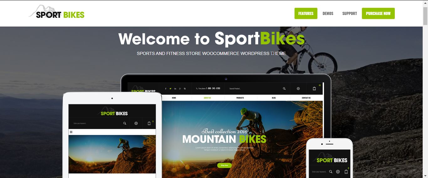 Sport Bikes Best Motorcycle Club WordPress Themes