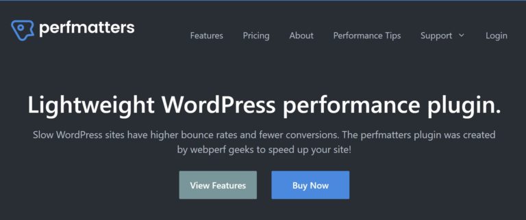 Perfmatters Best WordPress Plugins Optimize Speed 2021