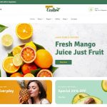 ecolive free organic food wordpress theme